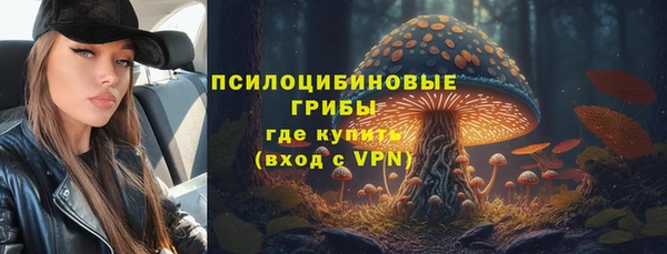 МДМА Алексеевка